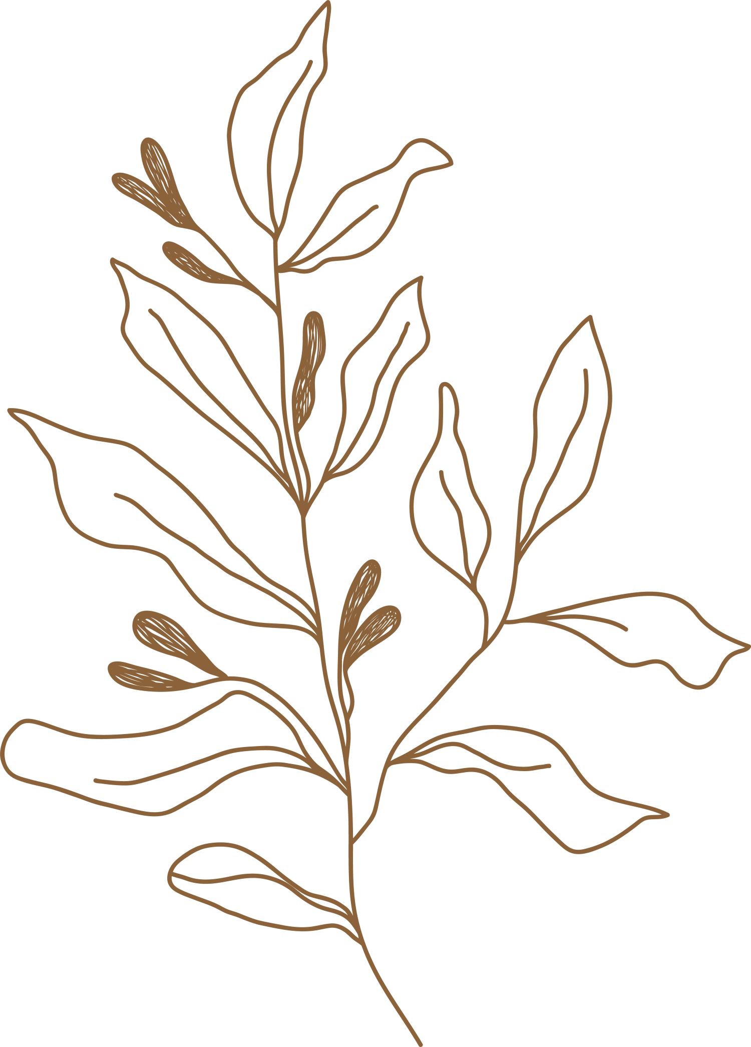 Fashion Forward: How to Elevate Your Everyday Style -Cahart Clothing Shop Lovepik com 450120215 leaf vector transparency clipart